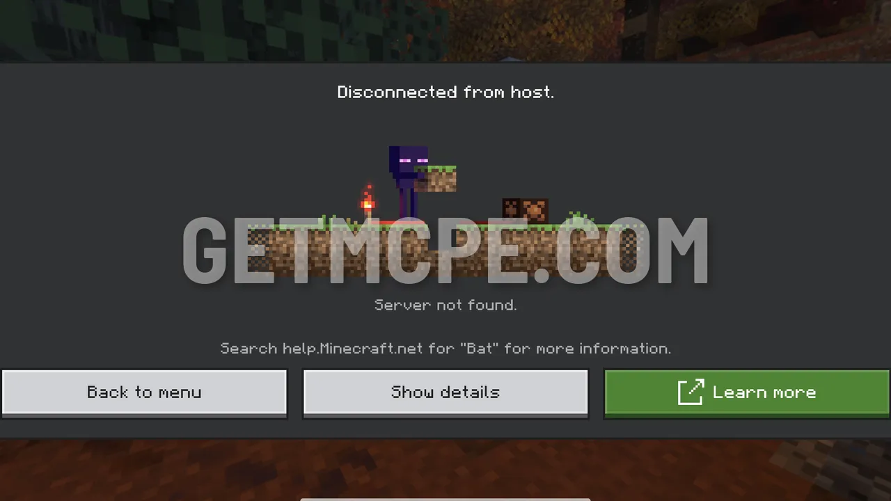 Joining any world with a 5D skin equipped: Disconnected from host, codeword Bat