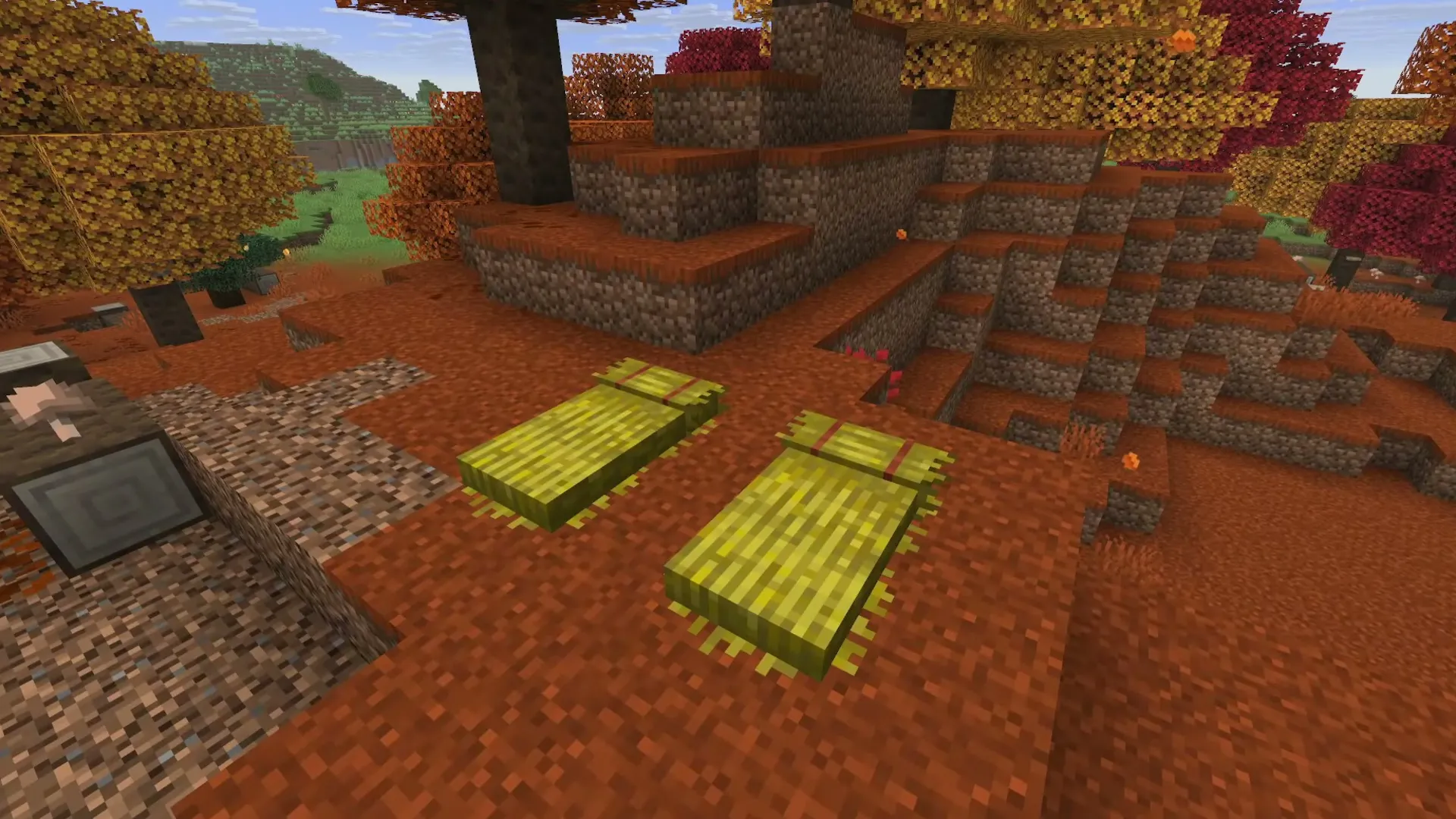 Straw beds placed in a dappled forest