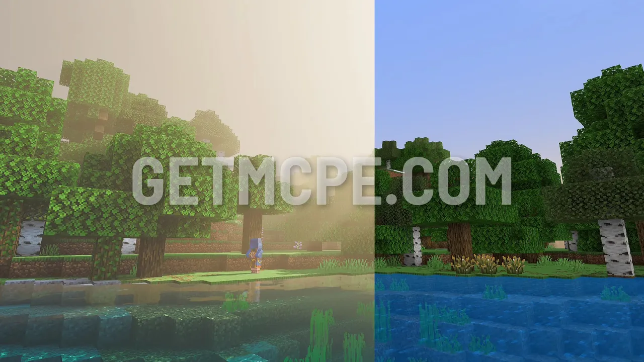 Birch trees by a lake: reflections and haze with Vibrant Visuals (left), the default look (right)