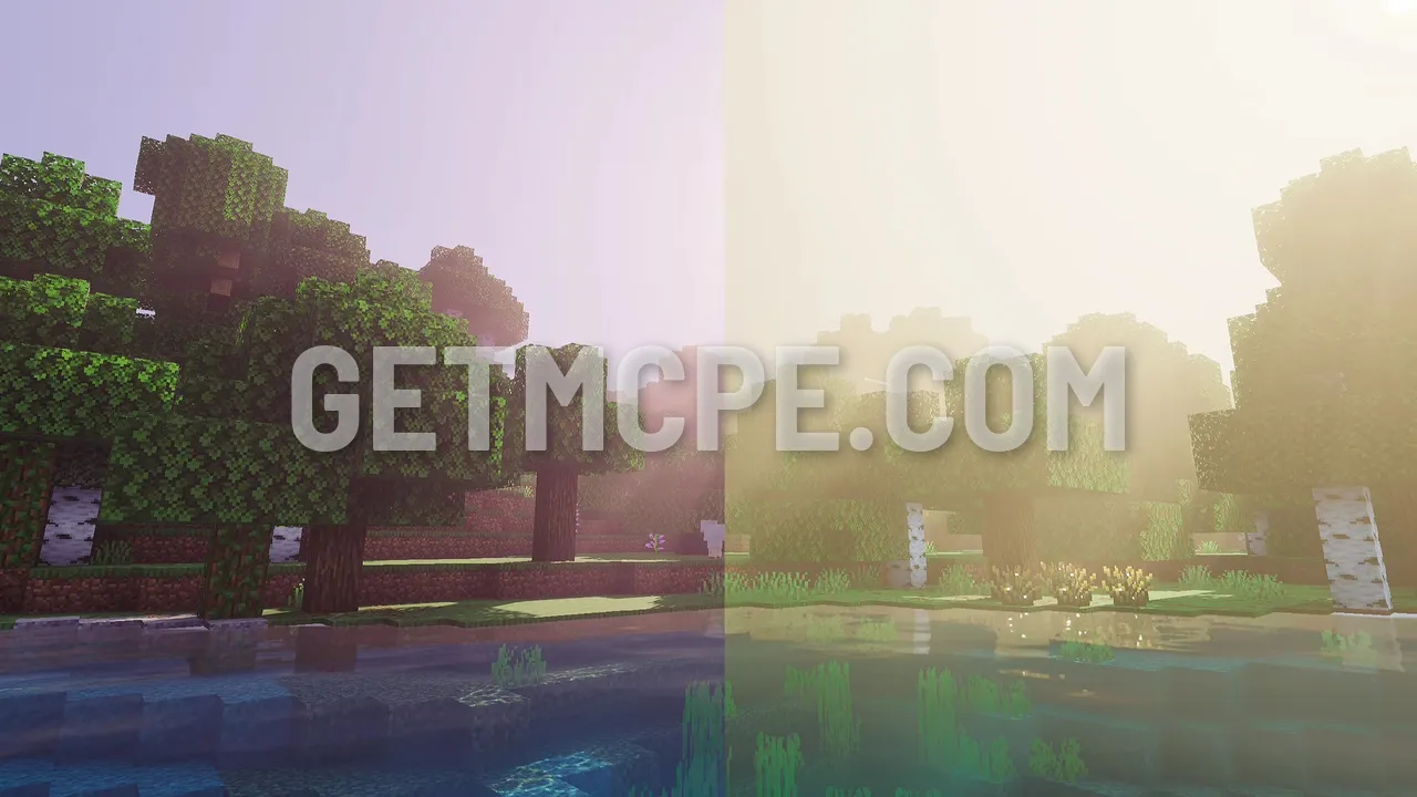 Birch trees by the water in pink morning light (left) and in bright haze (right)