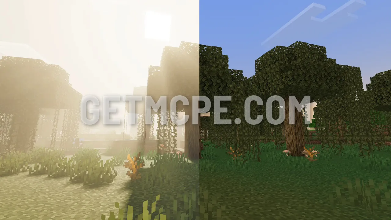 A swamp with Vibrant Visuals on (left): sun shafts through the fog. The same spot with it off (right)