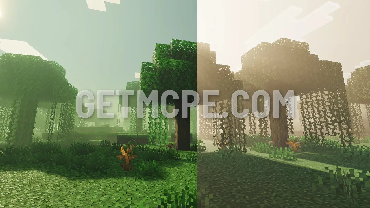 A swamp in green fog (left) and in warm sunlight (right)