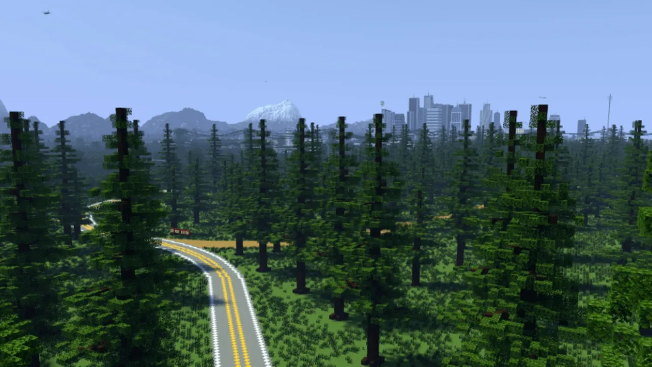 Los Perrito City map: Forest road with tall trees and distant city