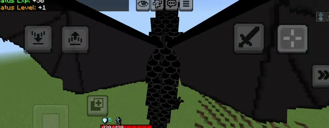 Asa’s One Piece Addon: Player holding a dragon shield
