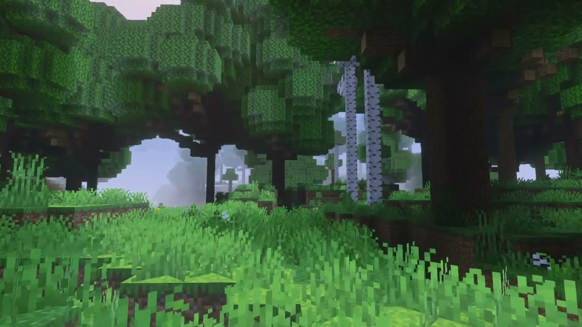 Bloomrock addon: Forest with tall trees and grass