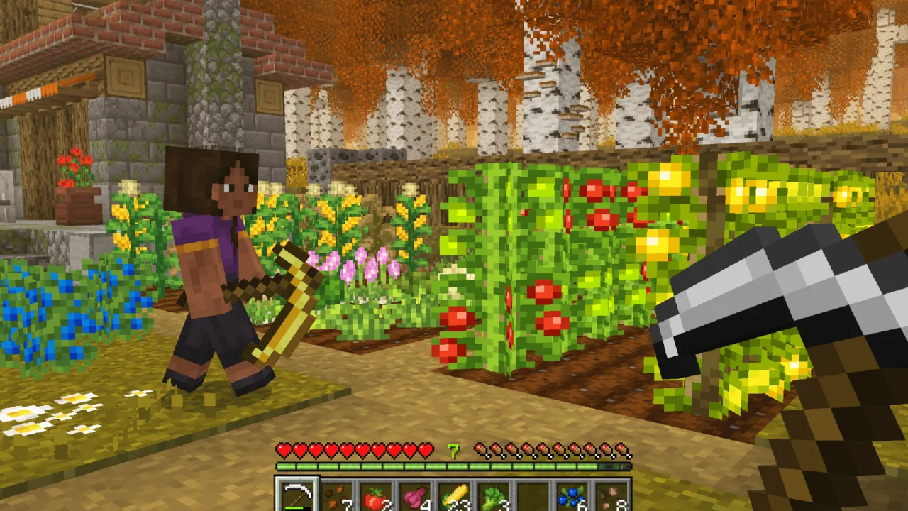 Core Craft addon: Player holding pickaxe near garden