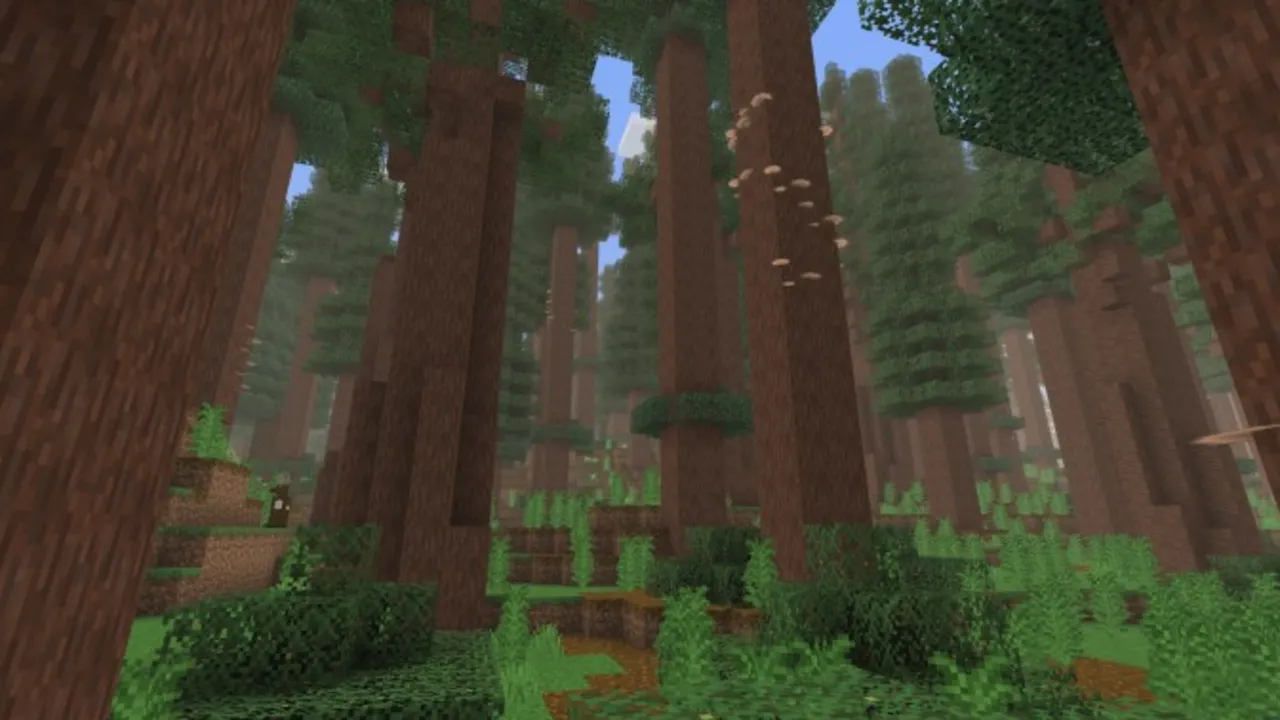 Expansive Biomes addon: Redwood Forest