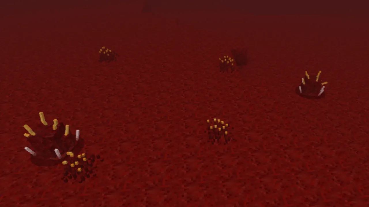Experiment 8 addon: New Biome: Tissue