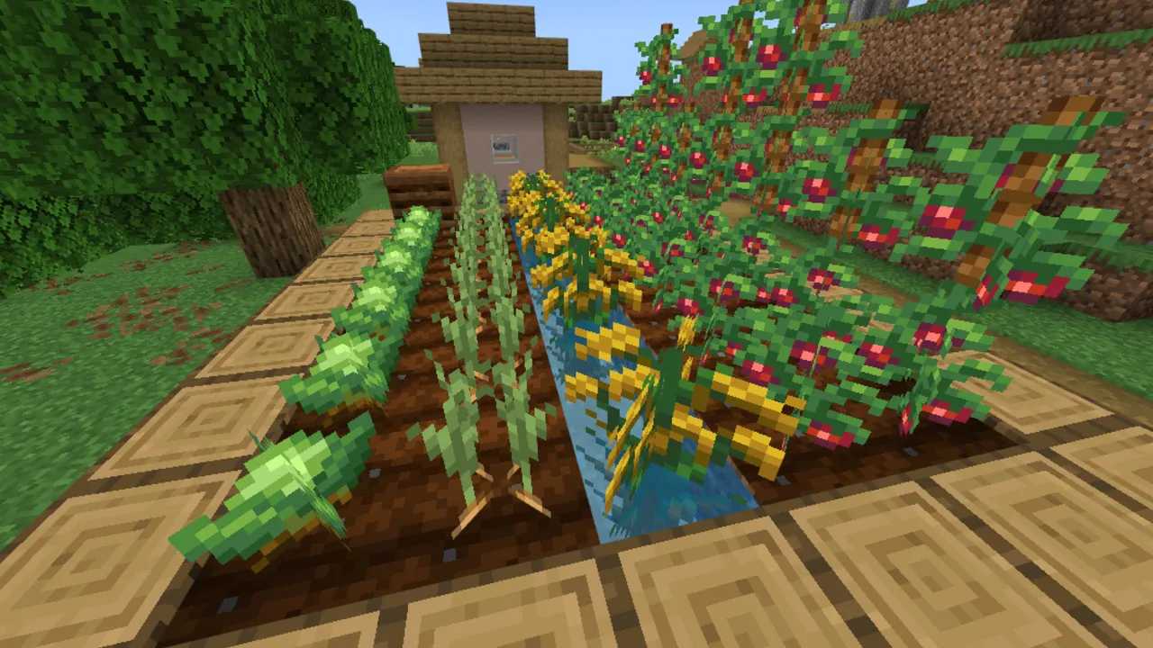 Farmer's Delight addon for Minecraft PE: Garden with crops and water