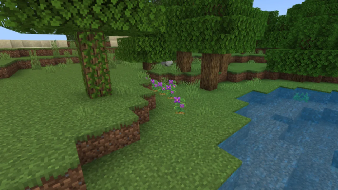Farmer's Delight addon: Oak, Birch & Dark oak forests