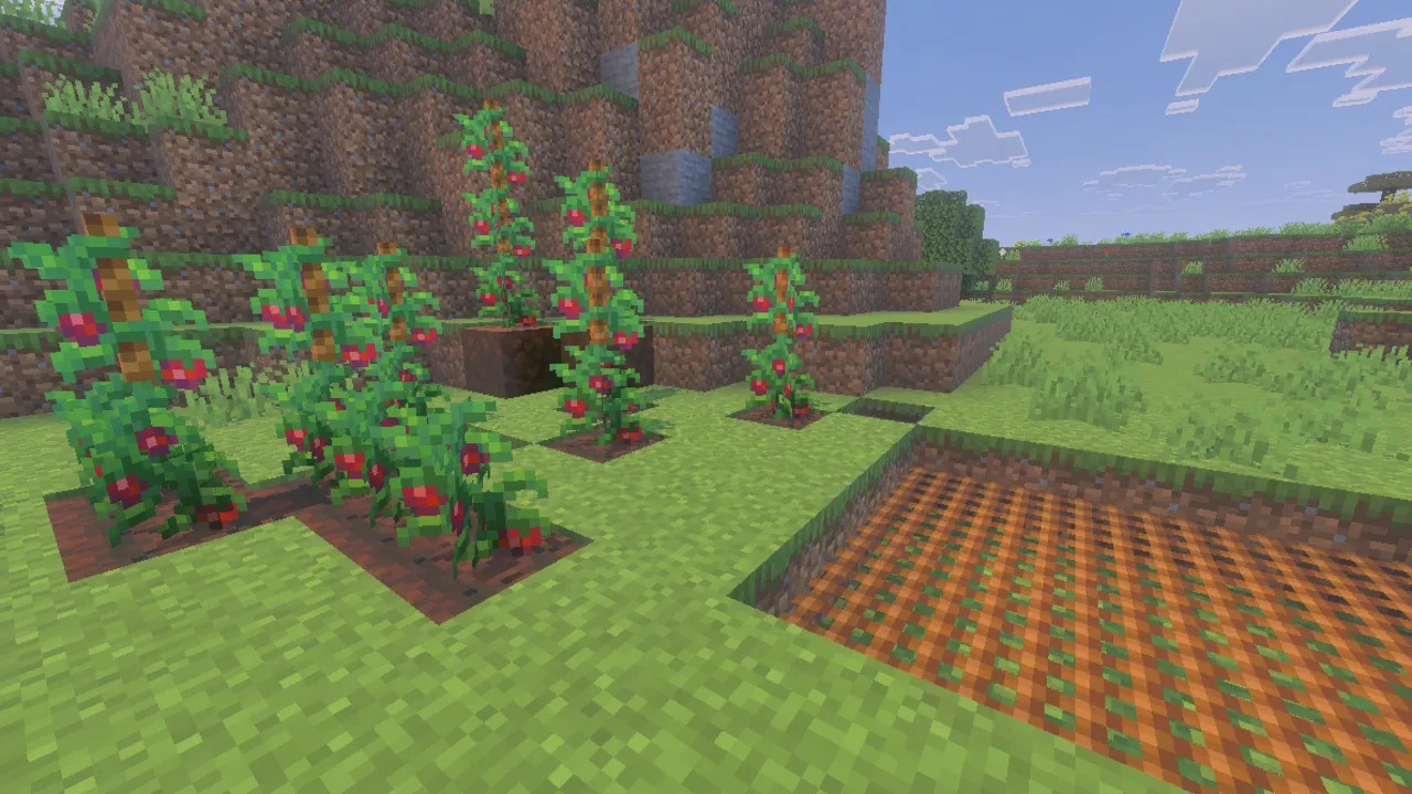 Farmer's Delight addon: Tomato plants growing in a field