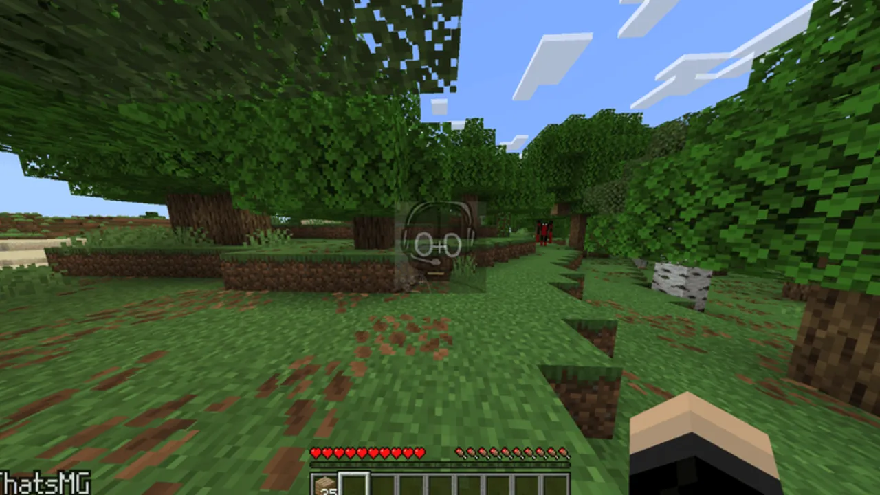 Hallucination addon: Appear