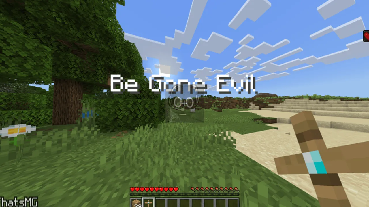 Hallucination addon: Player holding crossbow in grassy area