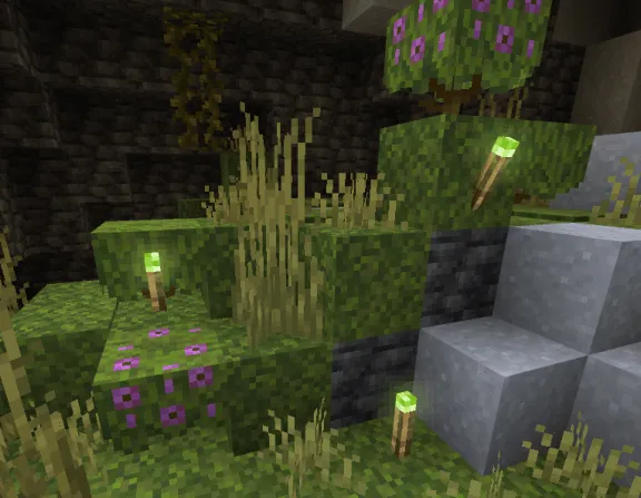 Raiyon's Dynamic Lightning addon: Carry light sources in hand, offhand or on your head
