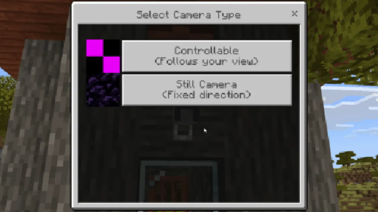 Security Cameras addon: Camera type selection menu