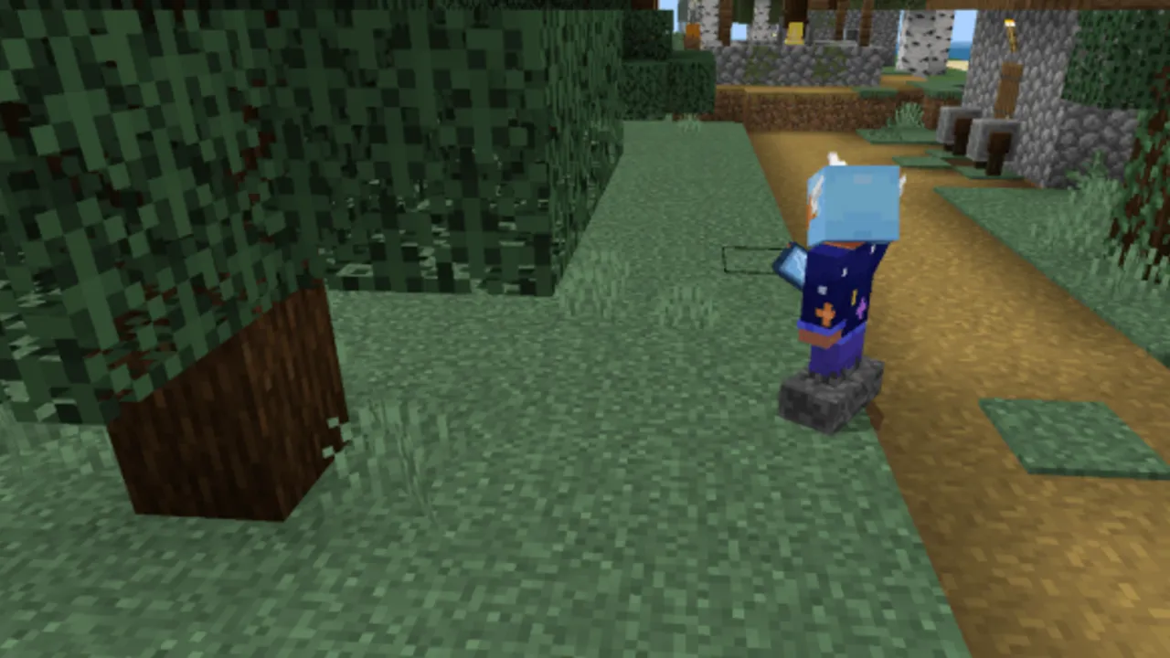 Security Cameras addon: Player with camera in forest