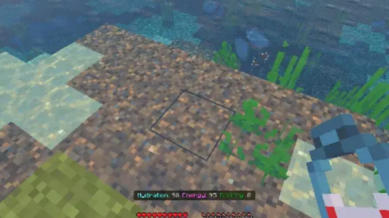 True Survival addon: Player standing on beach with hydration and energy bars shown