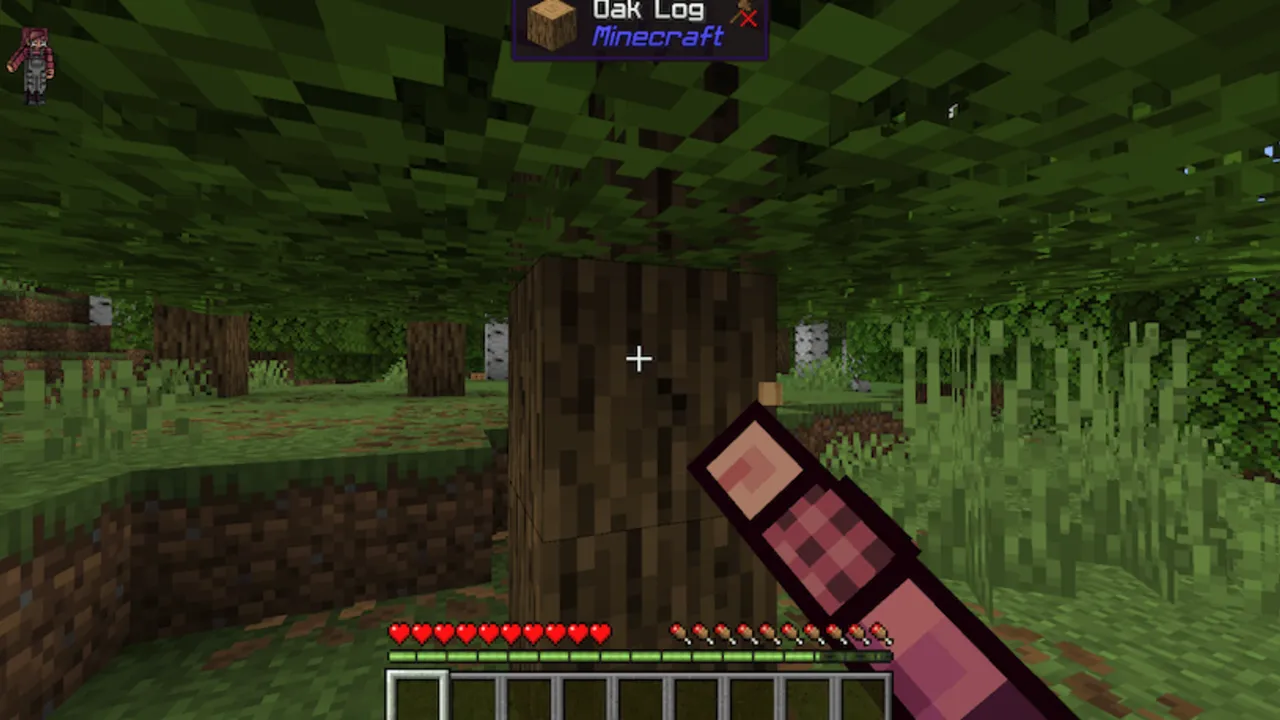 What Am I Looking At addon: Oak log held by player