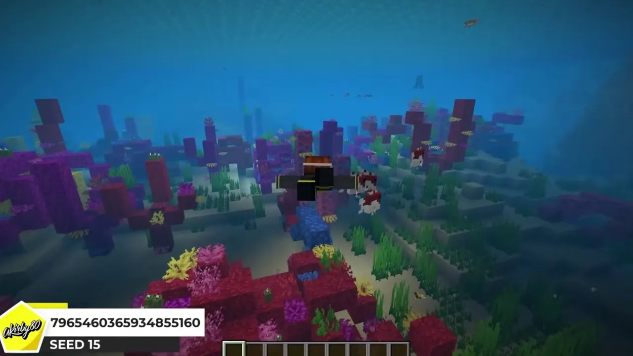 Sandy Survival Island Completely Encircled by a Coral Barrier: Underwater view of purple and red coral fans on the sea floor