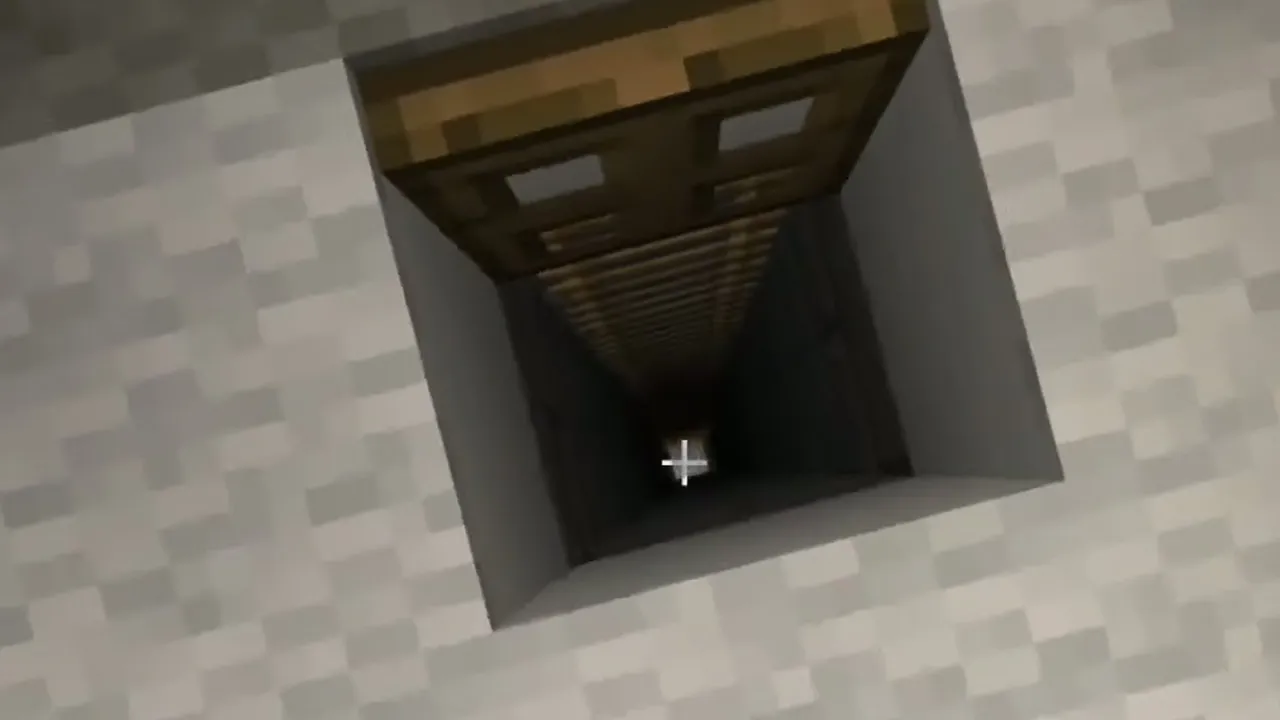 Flat Snowfield Igloo and Snowy Village: Open oak trapdoor and stone brick ladder shaft inside the snow igloo