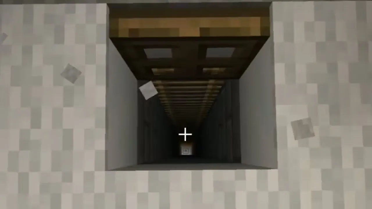 Coastal Snowfield Village and Basement Igloo: Open wooden trapdoor and stone brick ladder shaft inside the igloo floor