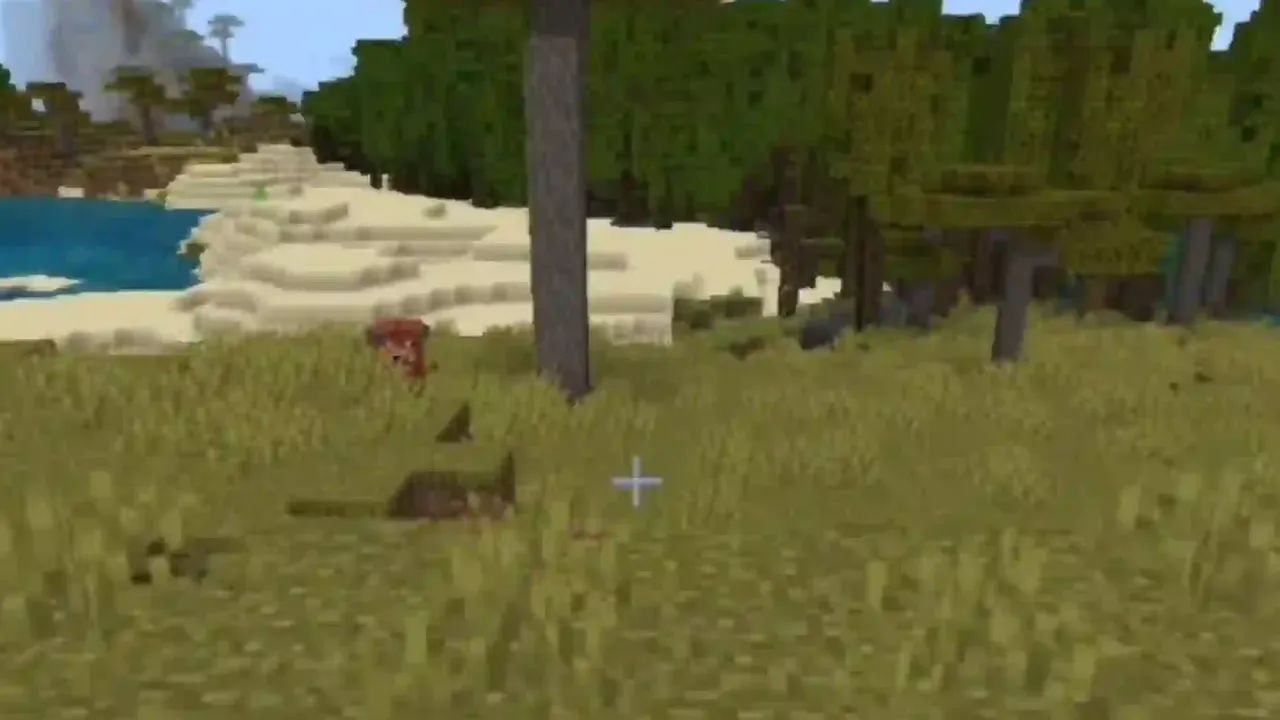Mangrove Coast Shipwreck and Savanna Village: Savanna village buildings on the coastline slope