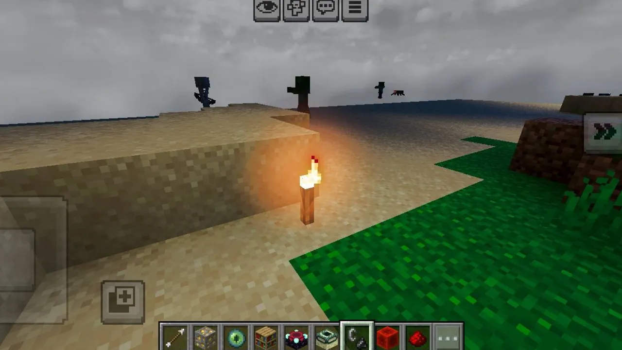 BSL vibrent visual grafic pack shader: Torch lit on sandy ground near grass