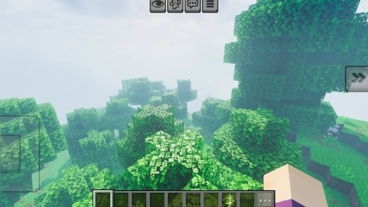 BSL vibrent visual grafic pack shader: Vibrent visuval shader