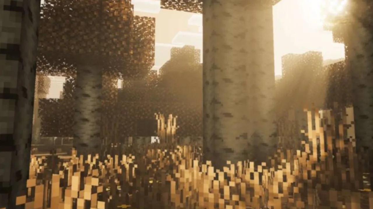 Definitive Vibrant Visuals shader: Biome Birch
