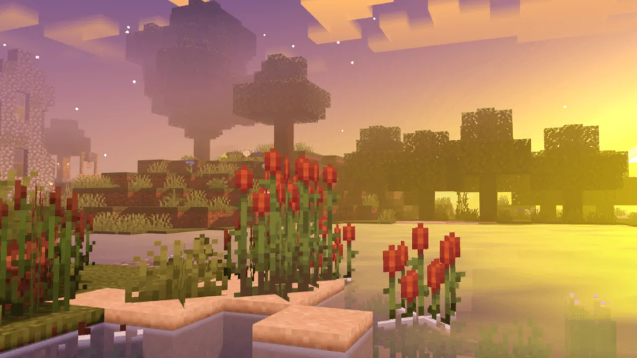 Newb X Ale shader: Sunset
