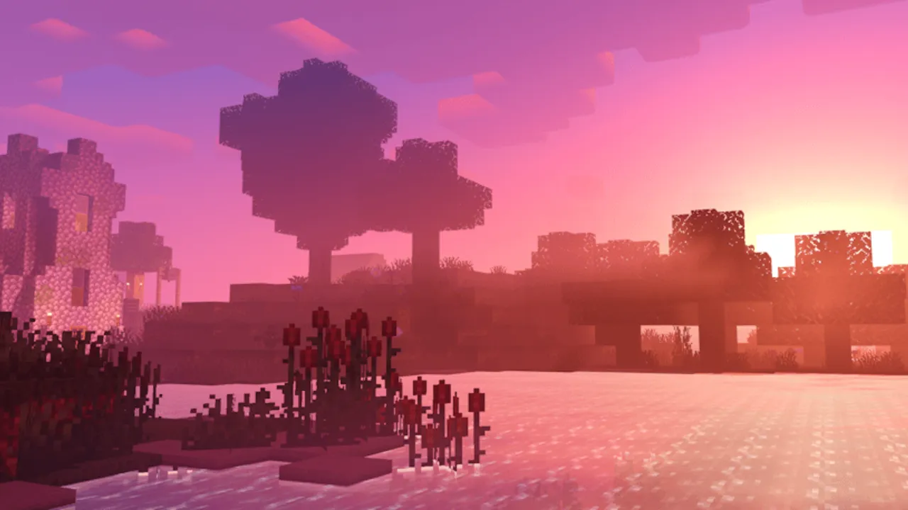 Newb X Dragon Shader: Sunset over trees and water