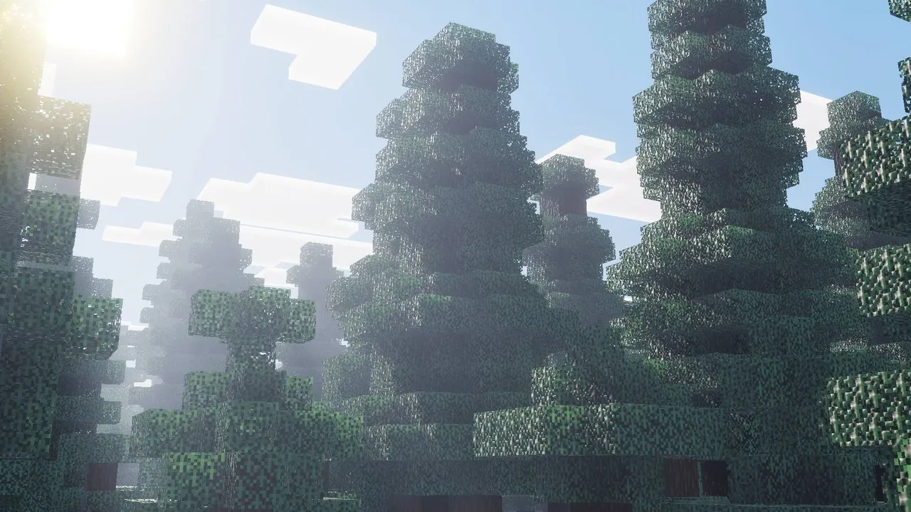 Solace shader: Forest with tall trees and bright sun