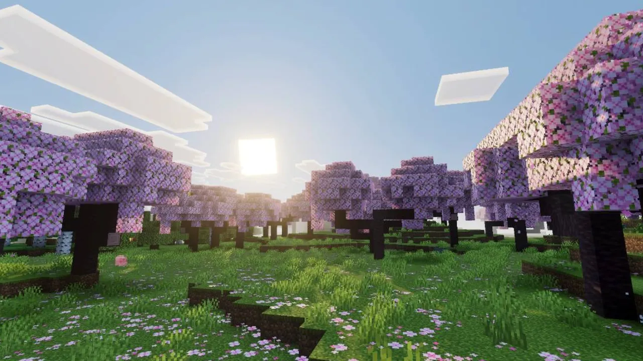 Solumn Visuals shader: Cherry blossom trees in a sunny field