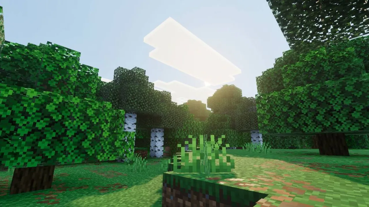 Solumn Visuals shader: Forest with trees and sun