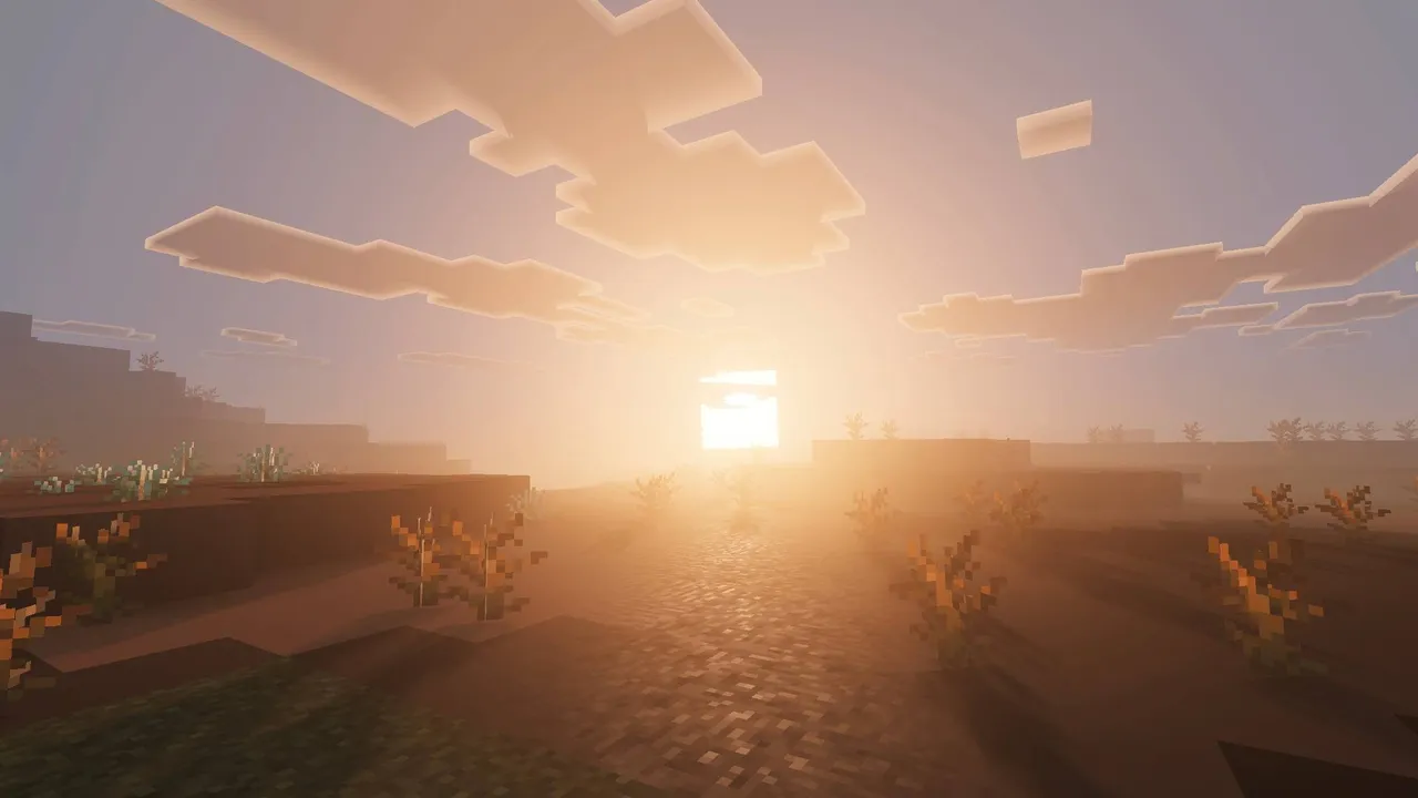 Solumn Visuals shader: Sunset over desert path with plants
