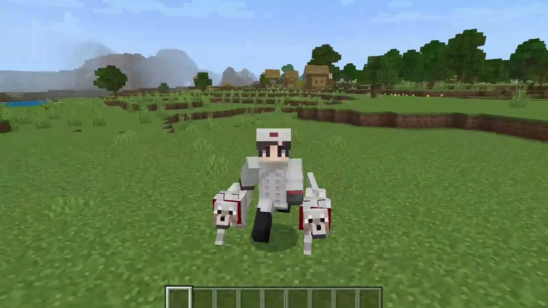 1150 Skins 4D Pack: Player with two dogs in grassy field