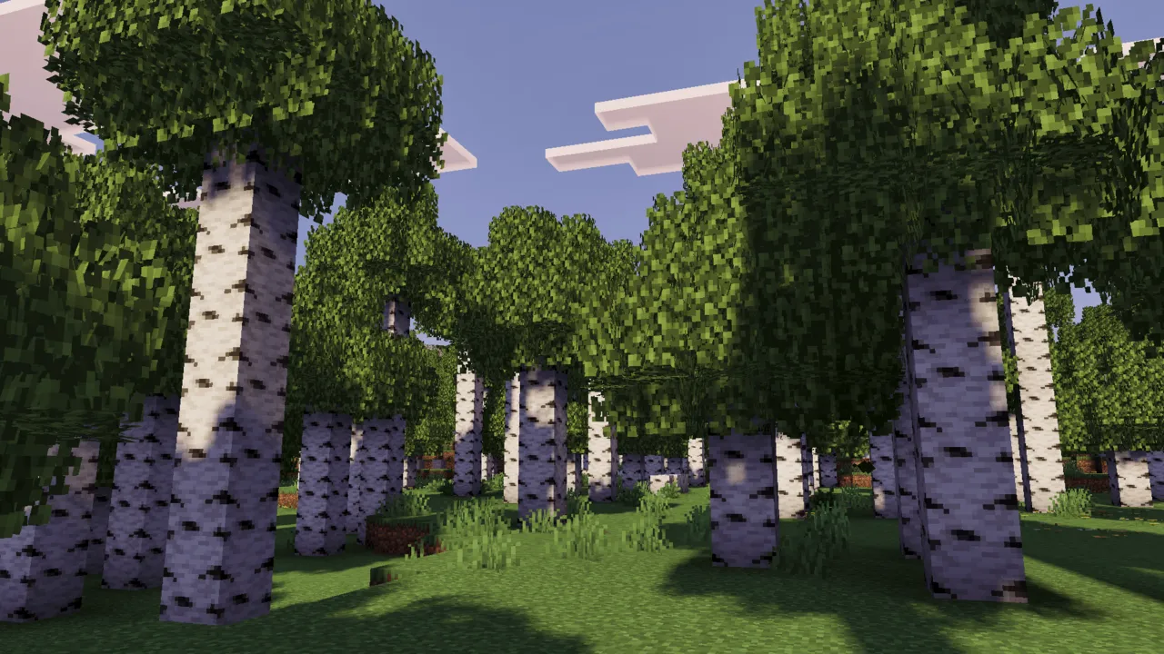 Reef's Better Leaves texture pack: Birch trees with fuller leaves