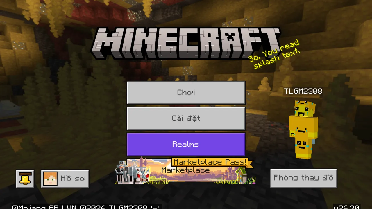 The Ty-el's Vietnamese Language Pack: Start Screen
