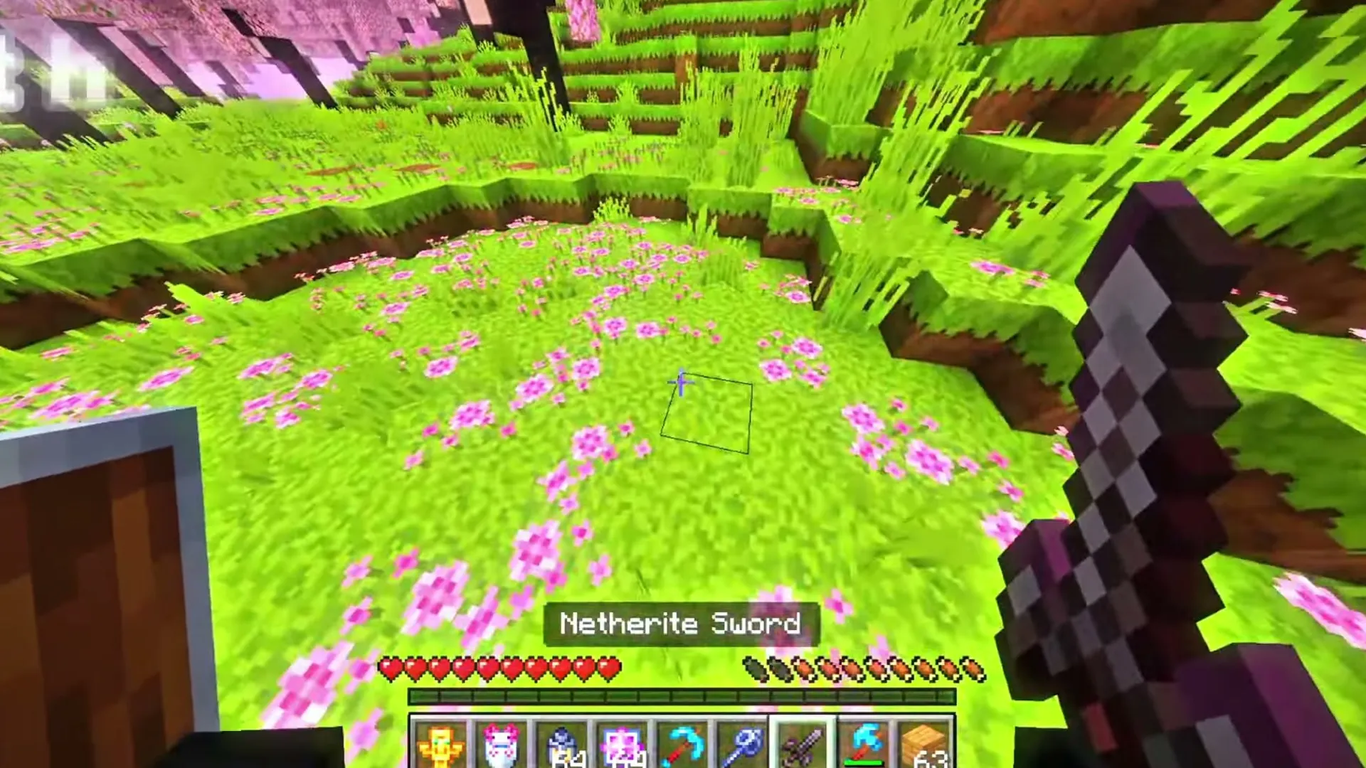 Xnova Model texture pack: Netherite sword in hand over flower field